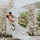 weddingplannervn's avatar